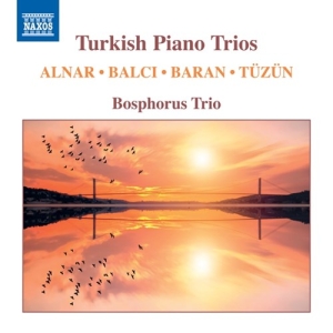 Various - Turkish Piano Trios i gruppen Externt_Lager / Naxoslager hos Bengans Skivbutik AB (3838216)