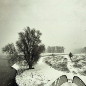 Beequeen - Winter i gruppen VINYL / Pop-Rock hos Bengans Skivbutik AB (3838739)