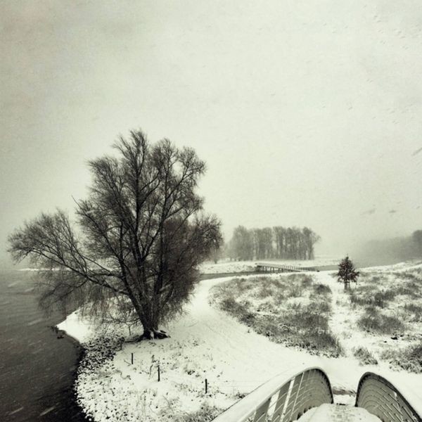 Beequeen - Winter i gruppen VINYL / Rock hos Bengans Skivbutik AB (3838739)