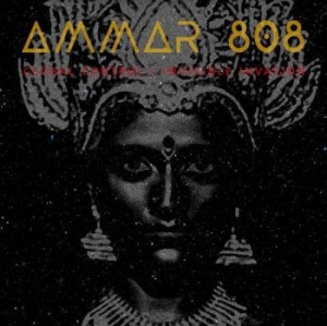 Ammar 808 - Global Control / Invisible Invasion i gruppen VINYL / Dans/Techno hos Bengans Skivbutik AB (3838832)