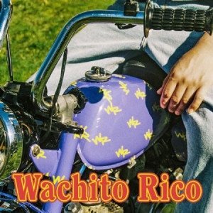 Boy Pablo - Wachito Rico i gruppen CD / Pop-Rock hos Bengans Skivbutik AB (3839006)