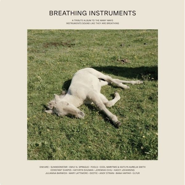Various Artists - Breathing Instruments i gruppen VINYL / Rock hos Bengans Skivbutik AB (3840174)