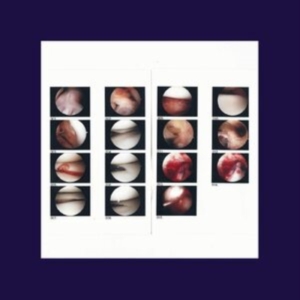 Cradle - Laughing In My Sleep i gruppen CD / Pop-Rock hos Bengans Skivbutik AB (3840215)