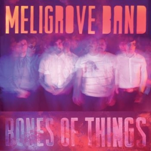 Meligrove Band - Bones Of Things i gruppen VINYL / Rock hos Bengans Skivbutik AB (3841043)