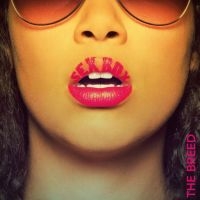 Breed - Sexbox i gruppen VINYL / Hip Hop-Rap hos Bengans Skivbutik AB (3841089)