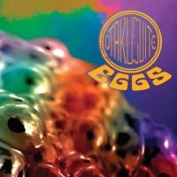 Otakusuite - Black Flower i gruppen CD / Pop-Rock hos Bengans Skivbutik AB (3841173)