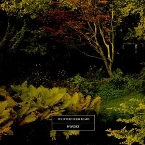 14 ICED BEARS - WONDER i gruppen ÖVRIGT / Övrigt / aub hos Bengans Skivbutik AB (3842191)