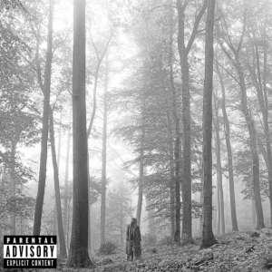 Taylor Swift - Folklore i gruppen VI TIPSAR / Årsbästalistor 2020 / NME 2020 hos Bengans Skivbutik AB (3842674)