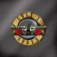 Guns N' Roses - Greatest Hits (2Lp) i gruppen VINYL / Hårdrock/ Heavy metal hos Bengans Skivbutik AB (3843002)