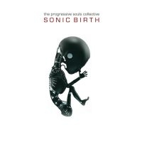 Progressive Souls Collective The - Sonic Birth i gruppen CD / Hårdrock hos Bengans Skivbutik AB (3843770)