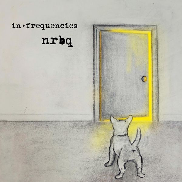 NRBQ - In Frequencies i gruppen VINYL / Rock hos Bengans Skivbutik AB (3844407)