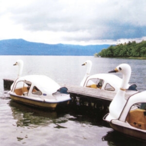 Lindh Karl - Bortom E4Æs Horisont i gruppen ÖVRIGT / Övrigt / aub hos Bengans Skivbutik AB (3844431)