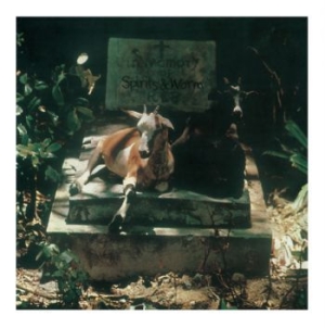 Spirits & Worm - Spirits & Worm i gruppen VINYL / Pop-Rock hos Bengans Skivbutik AB (3844645)