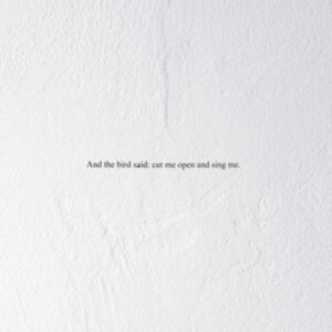 Prairie - And The Bird Said: Cut Me Open And i gruppen Labels / Woah Dad / Dold_tillfall hos Bengans Skivbutik AB (3846185)