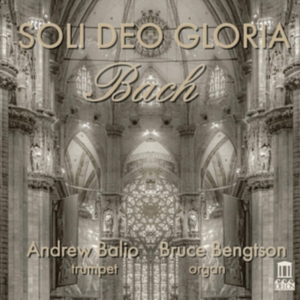 Bach J S Reisen Gottfried - Soli Deo Gloria: Transcriptions For i gruppen Externt_Lager / Naxoslager hos Bengans Skivbutik AB (3846260)
