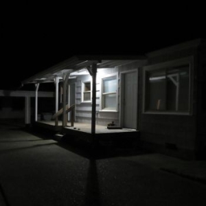 Jurado Damien - Birds Tricked Into The Trees i gruppen VI TIPSAR / Record Store Day / RSD2013-2020 hos Bengans Skivbutik AB (3846628)