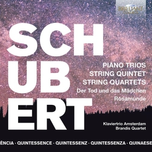 Franz Schubert - Quintessence Schubert - Piano Trios i gruppen Externt_Lager / Naxoslager hos Bengans Skivbutik AB (3846958)