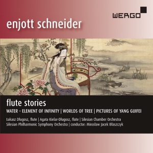 Enjott Schneider - Flute Stories i gruppen Externt_Lager / Naxoslager hos Bengans Skivbutik AB (3846969)