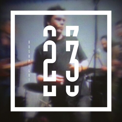 Bushpilot - 23 i gruppen VINYL / Rock hos Bengans Skivbutik AB (3847239)
