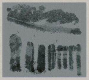 Wells Bill - Viaduct Tuba Trio Plays The Music O i gruppen ÖVRIGT / Övrigt / aub hos Bengans Skivbutik AB (3847473)