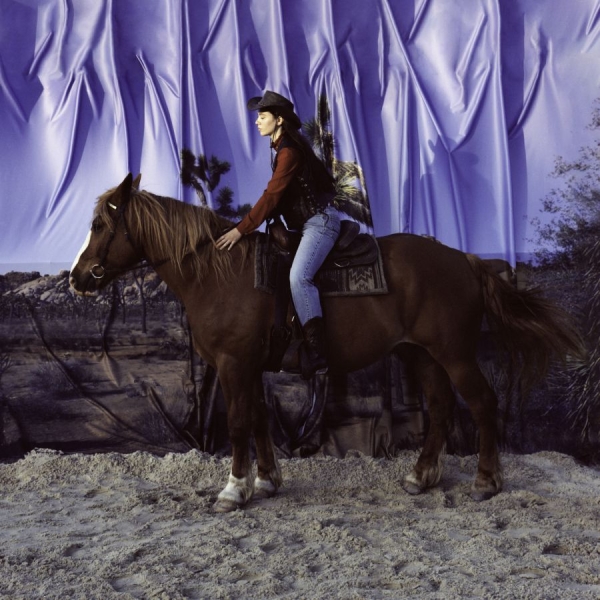 Holy Motors - Horse i gruppen VINYL / Toppsäljare hos Bengans Skivbutik AB (3848151)