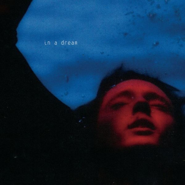 Troye Sivan - In A Dream i gruppen CD / Pop-Rock hos Bengans Skivbutik AB (3848461)