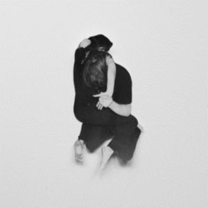 Wildbirds & Peacedrums - Rhythm (+Cd) i gruppen VINYL / Pop-Rock hos Bengans Skivbutik AB (3852683)