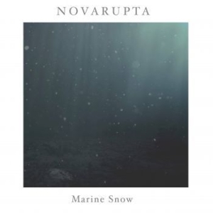 Novarupta - Marine Snow i gruppen Årsbästalistor 2020 / Bengans Sthlm Årsbästa 2020 hos Bengans Skivbutik AB (3860028)