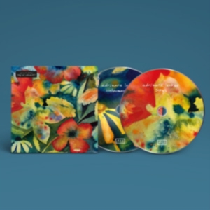 Lenker Adrianne - Songs And Instrumentals (Digipack) i gruppen VI TIPSAR / Årsbästalistor 2020 / Pitchfork 2020 hos Bengans Skivbutik AB (3860757)