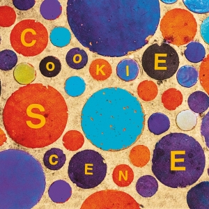 Go! Team - Cookie Scene i gruppen VINYL / Pop-Rock hos Bengans Skivbutik AB (3865944)