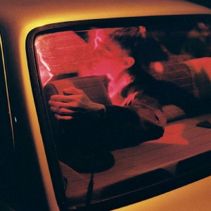 Pillow Queens - In Waiting i gruppen VINYL / Pop-Rock hos Bengans Skivbutik AB (3866002)