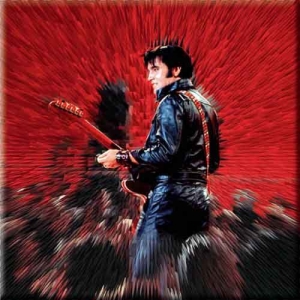 Elvis Presley - FRIDGE MAGNET: SHINE i gruppen MERCHANDISE / Magnet / Pop-Rock hos Bengans Skivbutik AB (3882403)