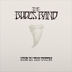 Budos Band The - Long In The Tooth i gruppen VINYL / Pop-Rock hos Bengans Skivbutik AB (3894424)