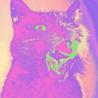 Teenanger - Good Time i gruppen VINYL / Hårdrock,Pop-Rock hos Bengans Skivbutik AB (3894427)