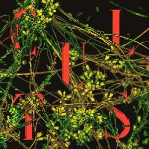 Cults - Host (Evergreen Vinyl) i gruppen VINYL / Pop-Rock hos Bengans Skivbutik AB (3894556)