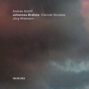 Brahms Johannes - Clarinet Sonatas i gruppen Externt_Lager / Naxoslager hos Bengans Skivbutik AB (3896315)