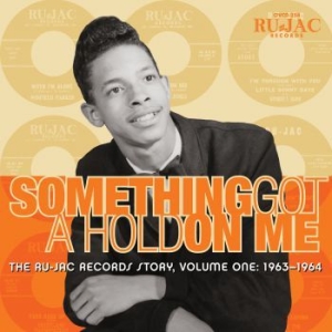 Blandade Artister - Something Got A Hold On Me: i gruppen CD / RnB-Soul hos Bengans Skivbutik AB (3900409)