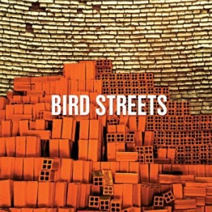 Bird Streets - John Brodeur/Jason Falkner i gruppen CD / Pop-Rock hos Bengans Skivbutik AB (3900431)