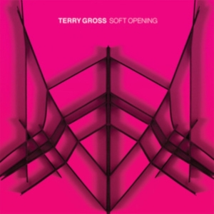 Gross Terry - Soft Opening i gruppen VINYL hos Bengans Skivbutik AB (3902049)