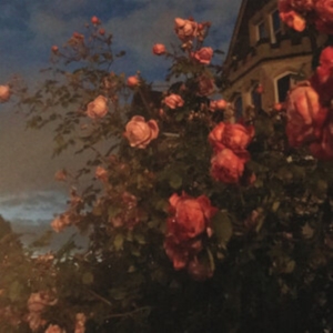 Bence John - Love i gruppen CD / Pop-Rock hos Bengans Skivbutik AB (3902125)