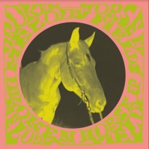 Melody Fields - Broken Horse i gruppen VINYL / Pop-Rock,Svensk Musik hos Bengans Skivbutik AB (3903361)