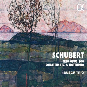 Schubert Franz - Trio, Op. 100 Sonatensatz Notturn i gruppen Externt_Lager / Naxoslager hos Bengans Skivbutik AB (3903495)