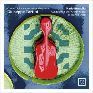 Tartini Giuseppe - Concerti E Sonate Per Violoncello P i gruppen Externt_Lager / Naxoslager hos Bengans Skivbutik AB (3907147)