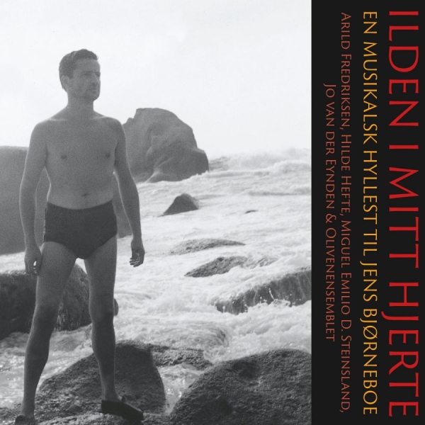 Various Artists - Illden I Mitt Hjerte i gruppen CD / Toppsäljare hos Bengans Skivbutik AB (3913721)
