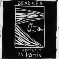 Dead C. - Max Harris i gruppen VINYL / Pop-Rock hos Bengans Skivbutik AB (3915289)