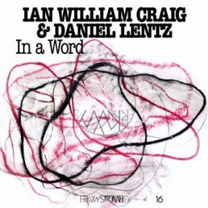 Ian William Craig & Daniel Lentz - In A Word i gruppen VINYL / Pop hos Bengans Skivbutik AB (3915344)