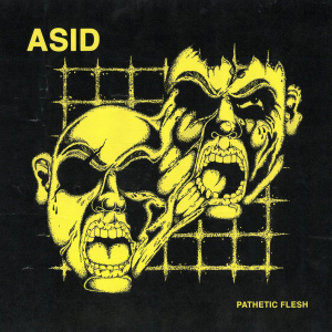 Asid - Pathetic Flesh i gruppen VINYL / Vinyl Punk hos Bengans Skivbutik AB (3915661)