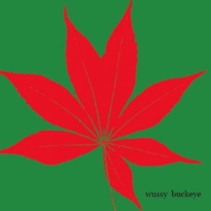 Wussy - Buckeye i gruppen CD / Pop hos Bengans Skivbutik AB (3917820)