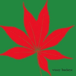 Wussy - Buckeye i gruppen CD / Pop-Rock hos Bengans Skivbutik AB (3917820)