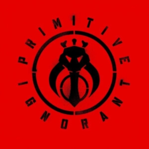 Primitive Ignorant - Sikh Punk i gruppen VINYL / Pop-Rock hos Bengans Skivbutik AB (3918796)